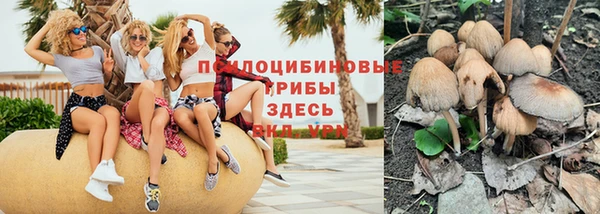 шишки Абдулино