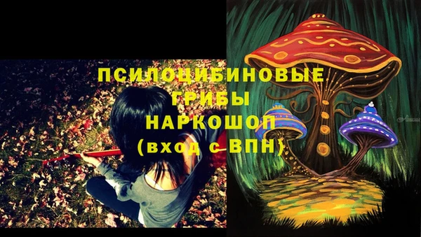 2c-b Абинск